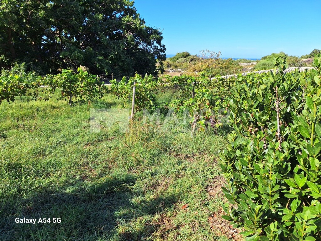 Image 6083528 - 7