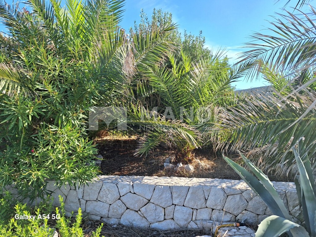 Image 6083528 - 4