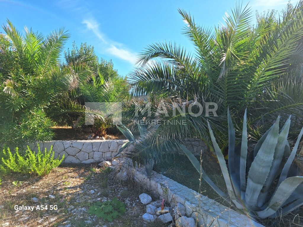 Image 6083528 - 3