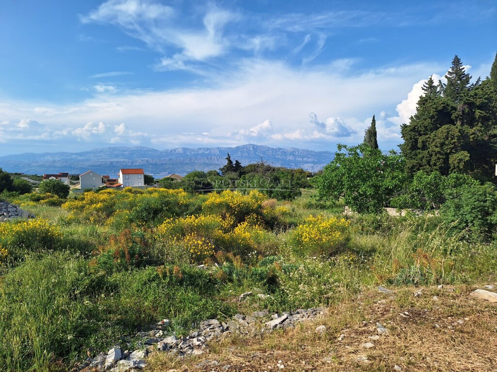 Image 6083997 - 1
