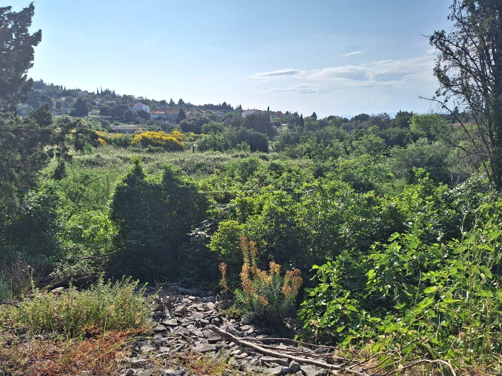 Image 6083997 - 5