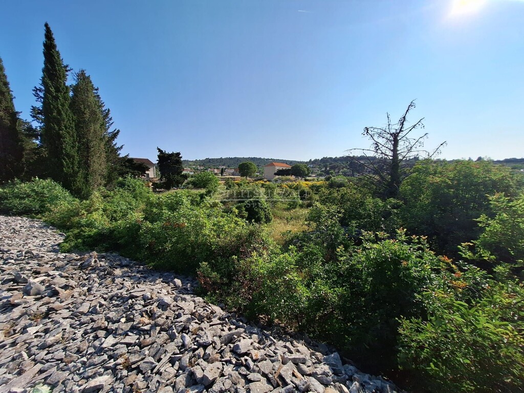 Image 6083997 - 3