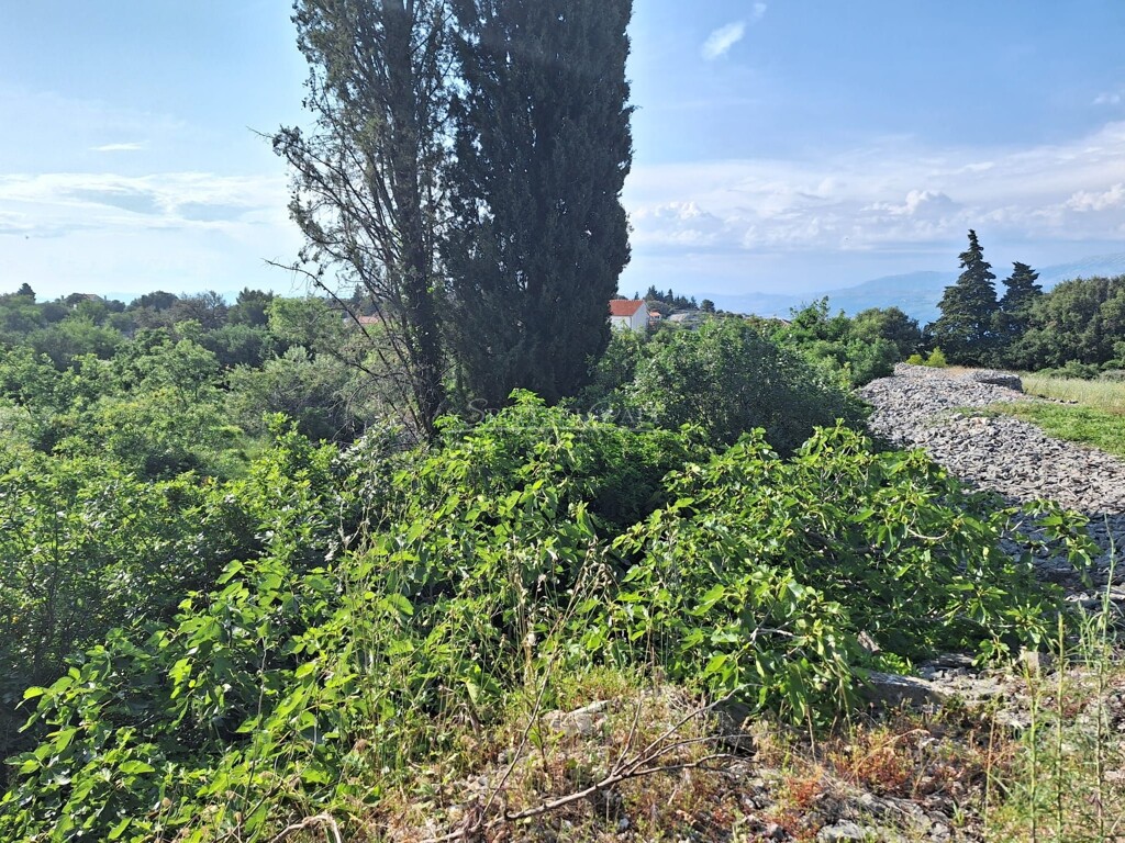 Image 6083997 - 4