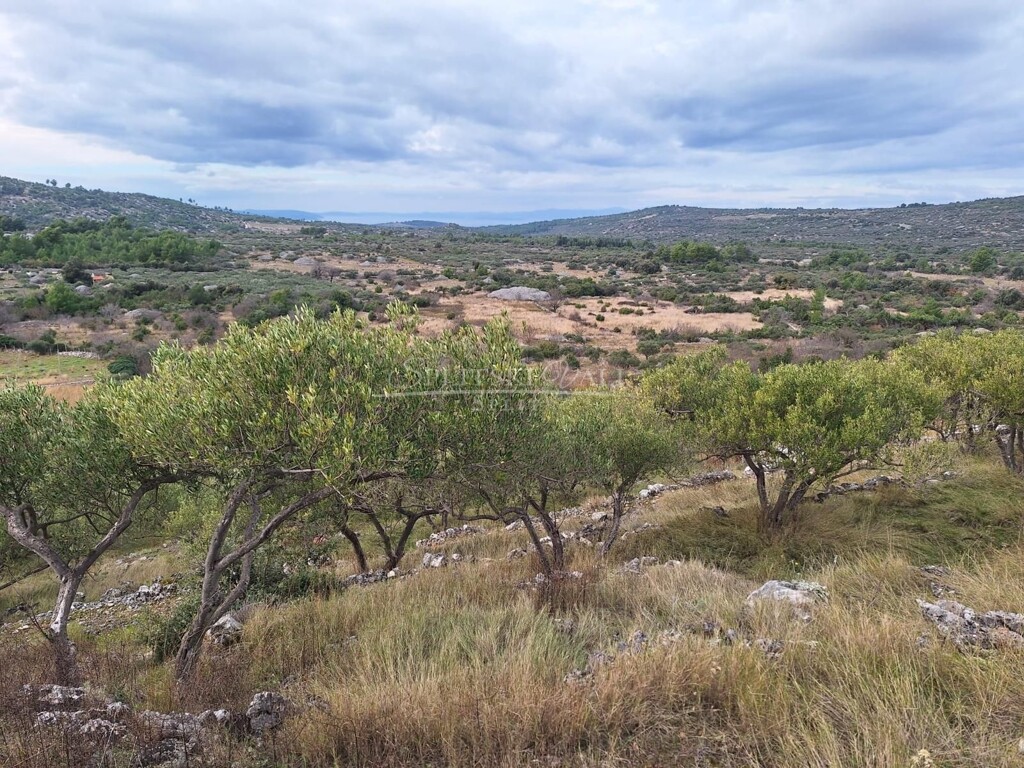 Image 6083998 - 2