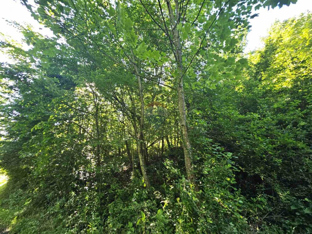 Image 6084090 - 10