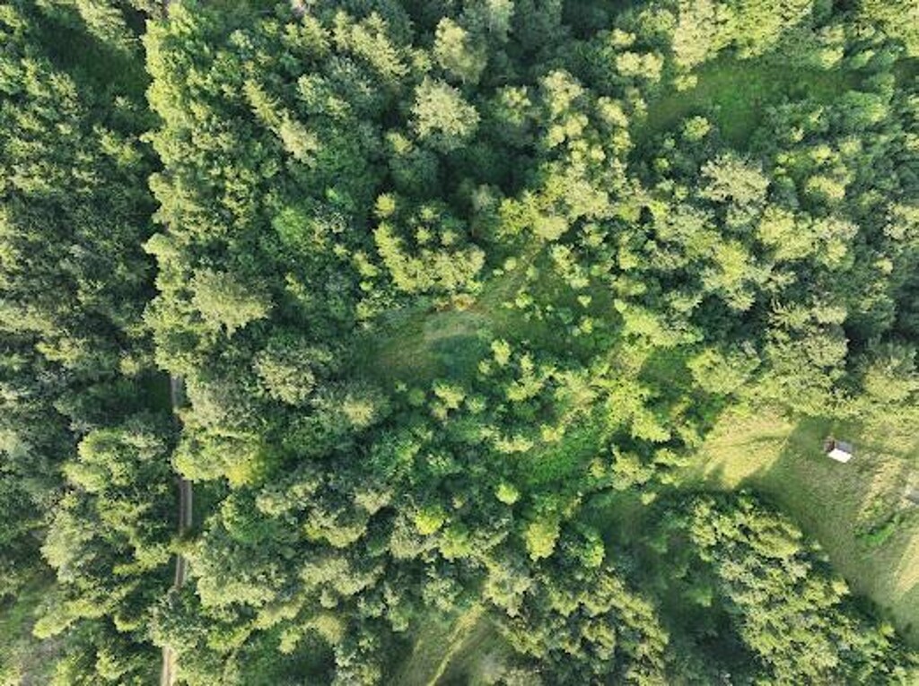 Image 6084090 - 6