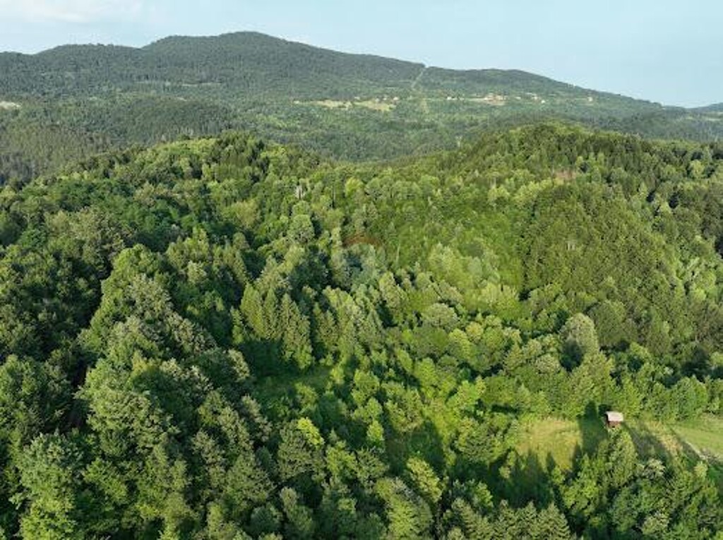 Image 6084090 - 4