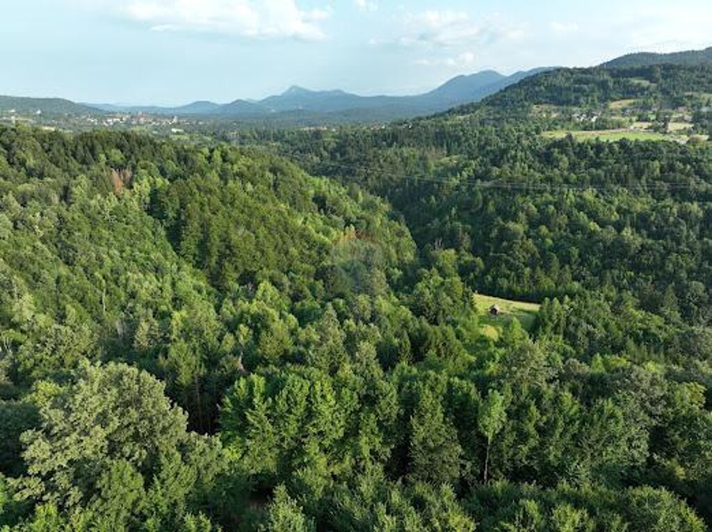 Image 6084090 - 2
