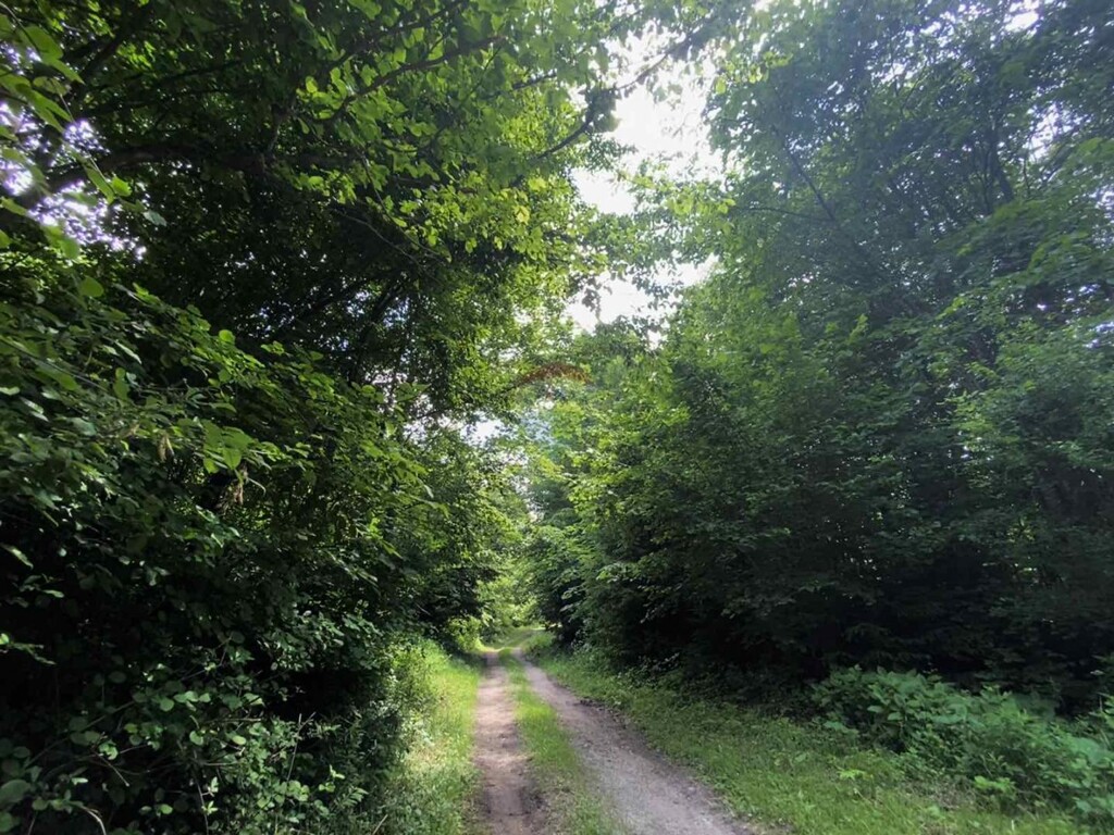 Image 6084090 - 13
