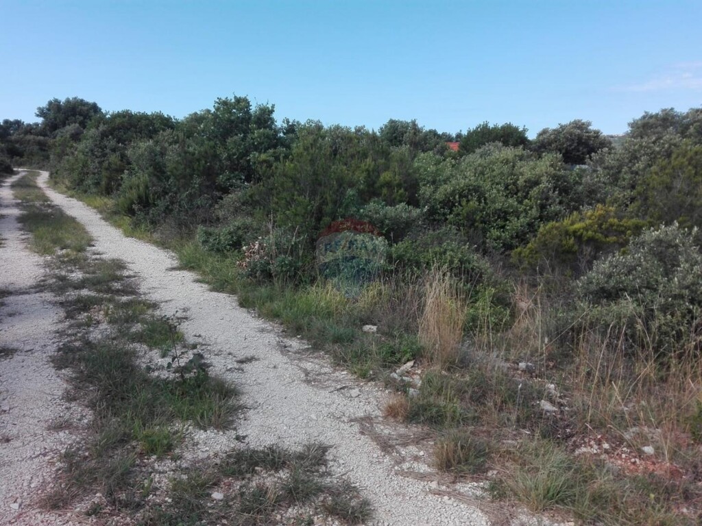 Image 6084095 - 5