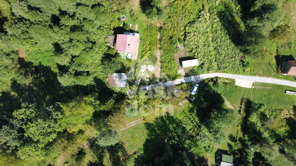 Image 6084103 - 2