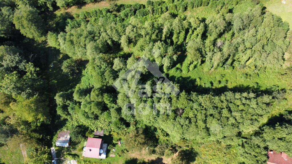 Image 6084103 - 17
