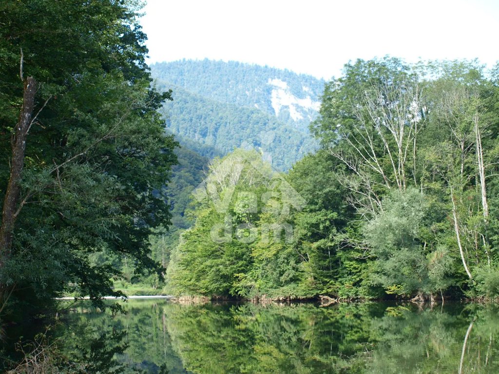 Image 6084103 - 11