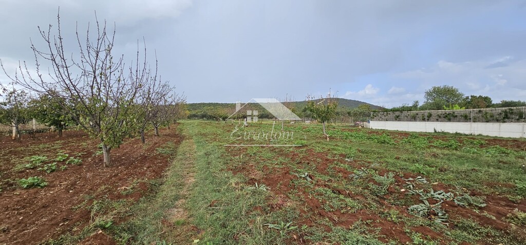 Image 6084221 - 1