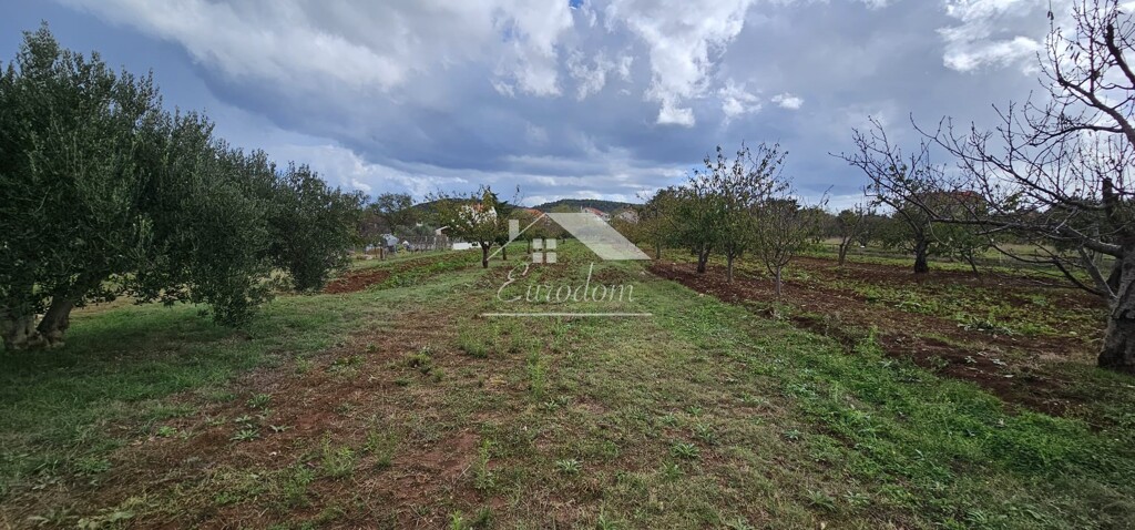 Image 6084221 - 3