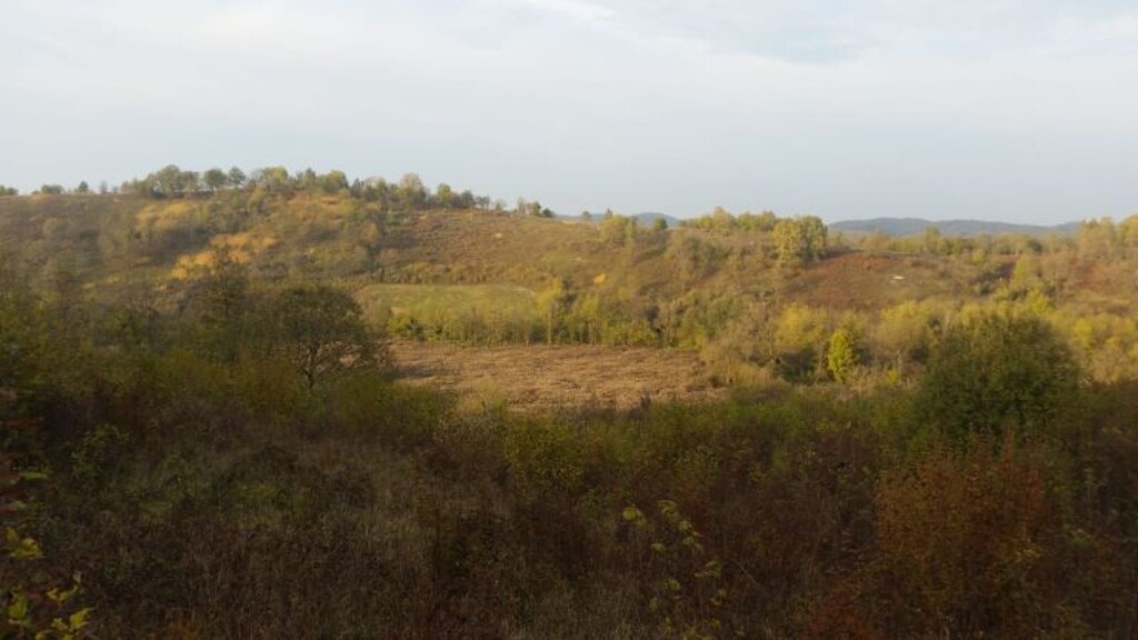 Image 6084470 - 4