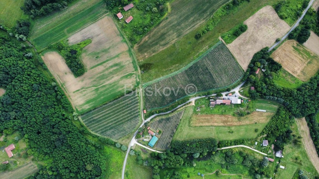 Image 6084508 - 5