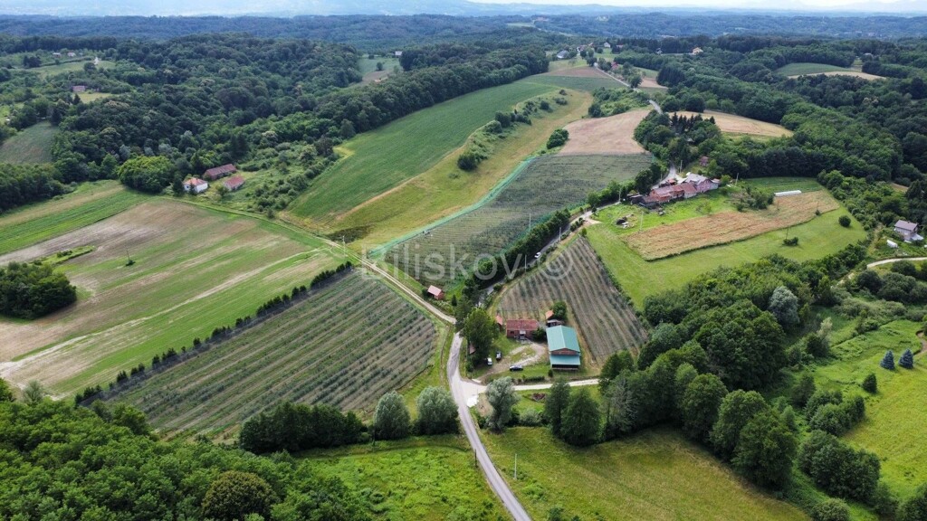 Image 6084508 - 2