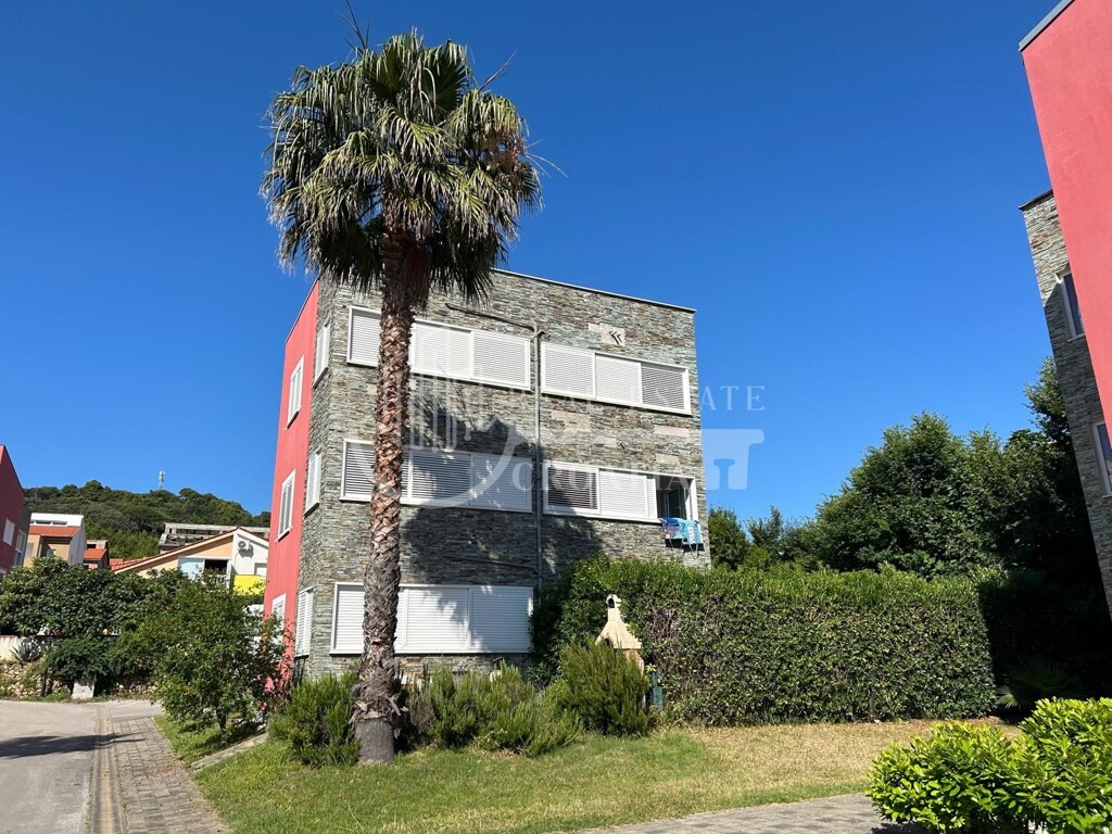 Image 6084576 - 2