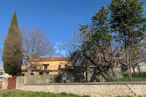 Thumbnail 6085359 - 6