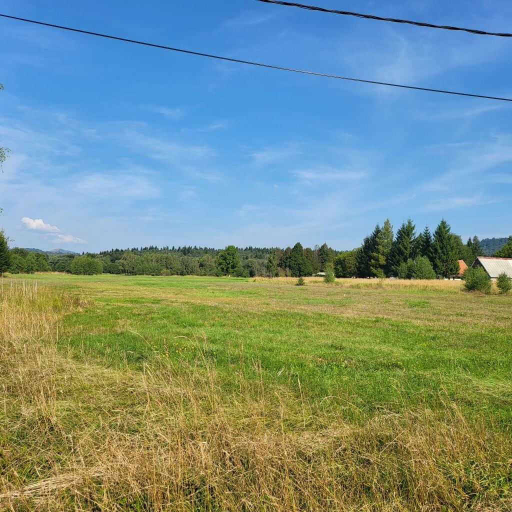 Image 6088785 - 1