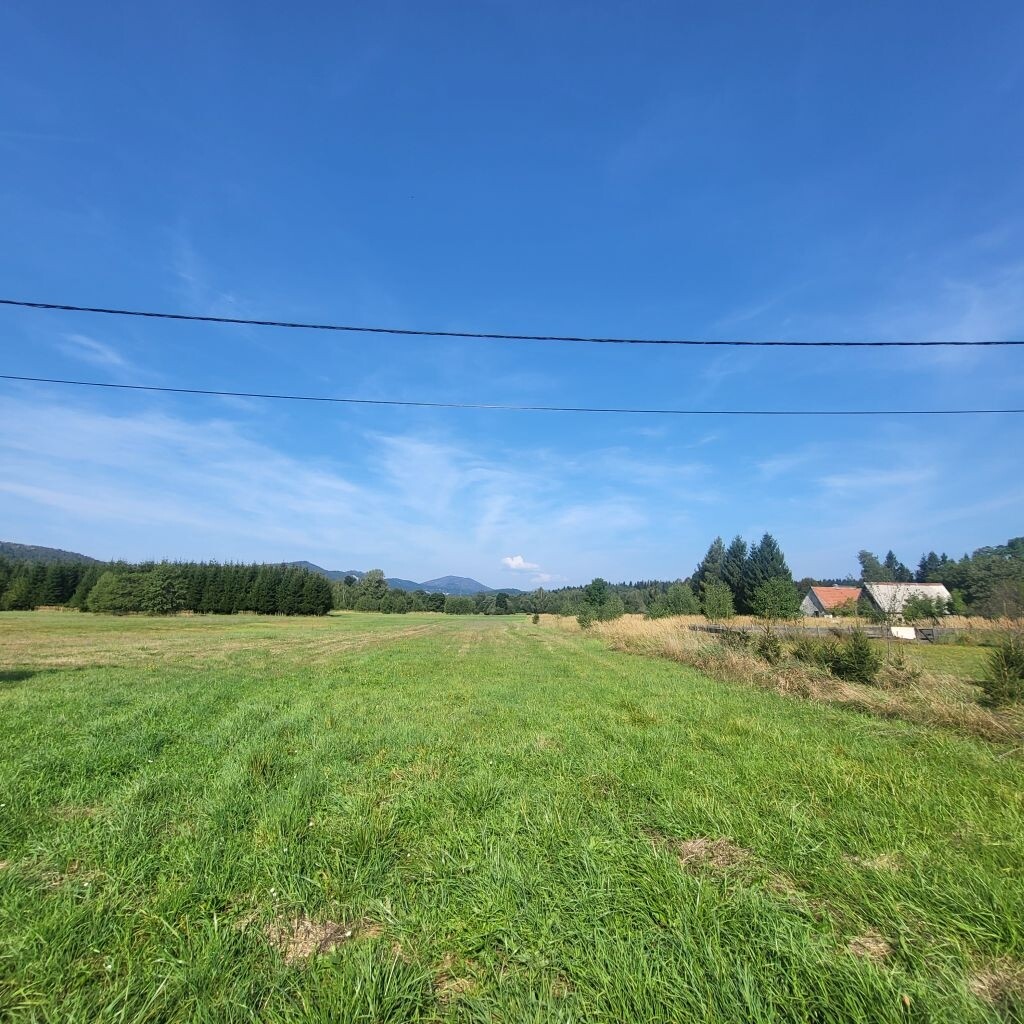 Image 6088785 - 2