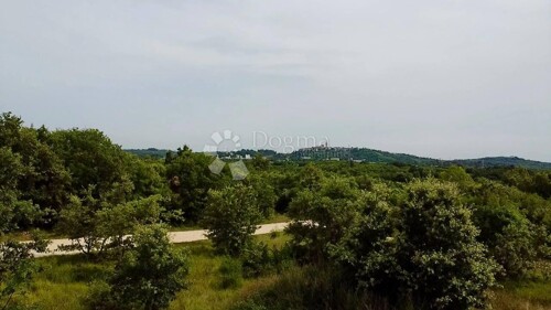 Thumbnail 6091598 - 3