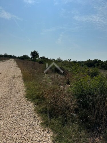 Thumbnail 6091606 - 3