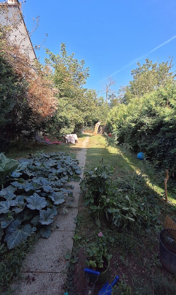 Image 6091722 - 12
