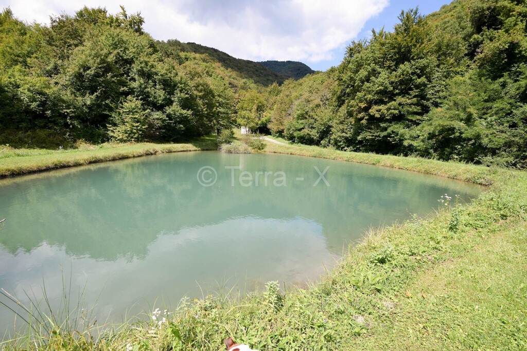 Image 6092244 - 19