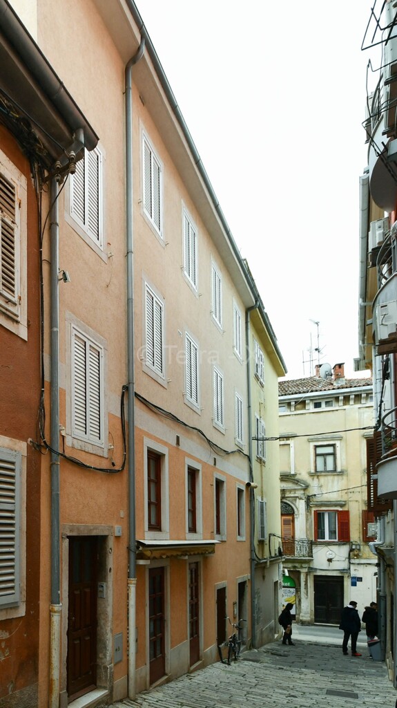 Image 6092245 - 1