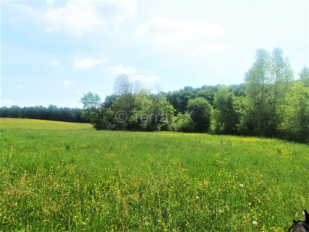 Image 6092246 - 19