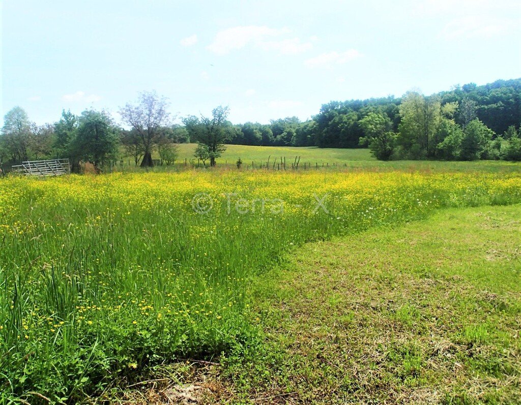 Image 6092246 - 20