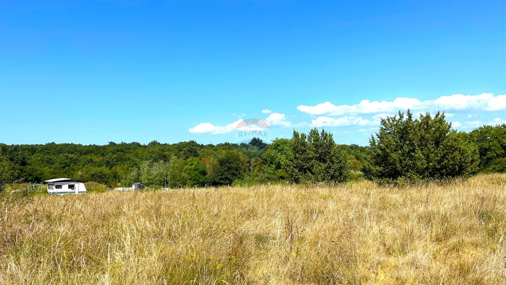 Image 6092372 - 3