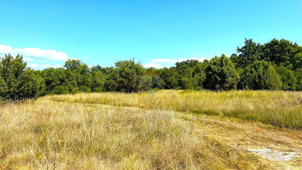 Image 6092372 - 4
