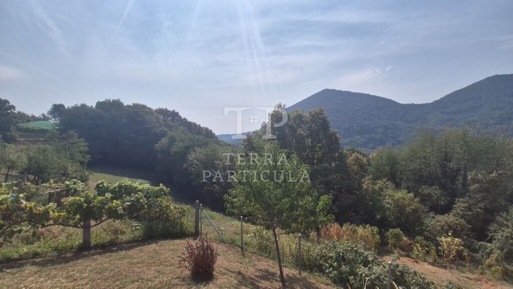 Image 6093415 - 24