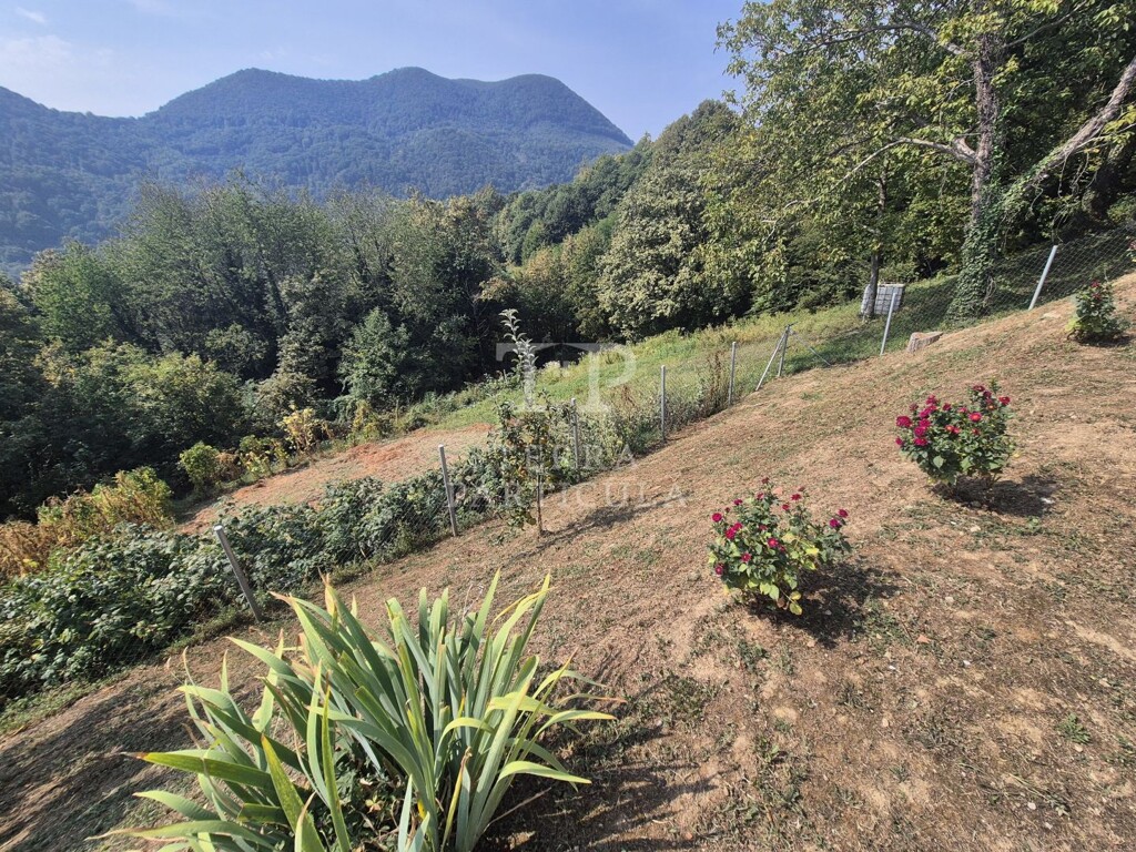 Image 6093415 - 23