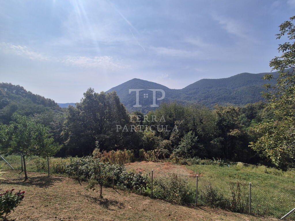 Image 6093415 - 20