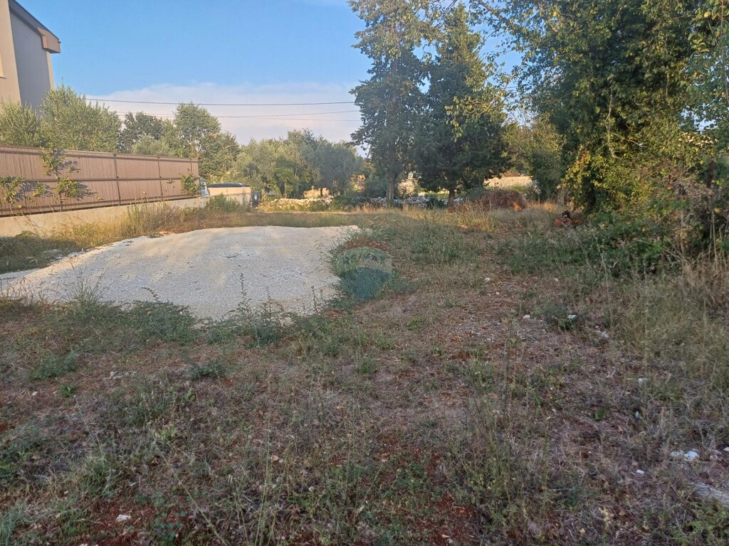 Image 6093600 - 1