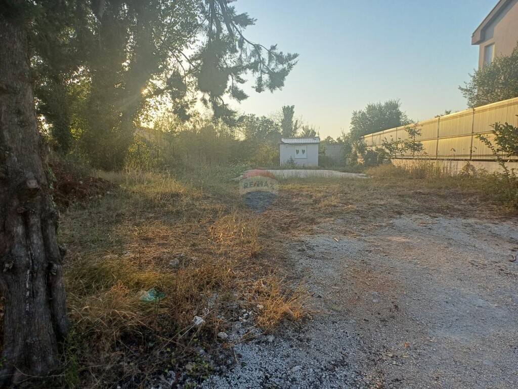 Image 6093600 - 2