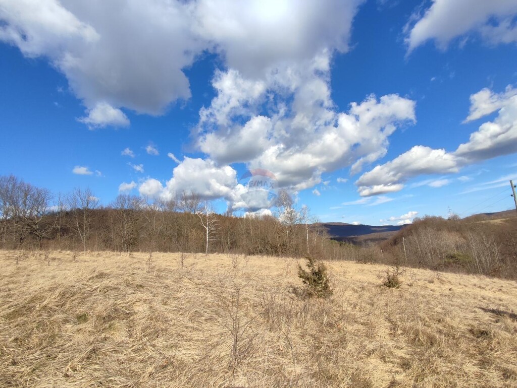 Image 6093605 - 1