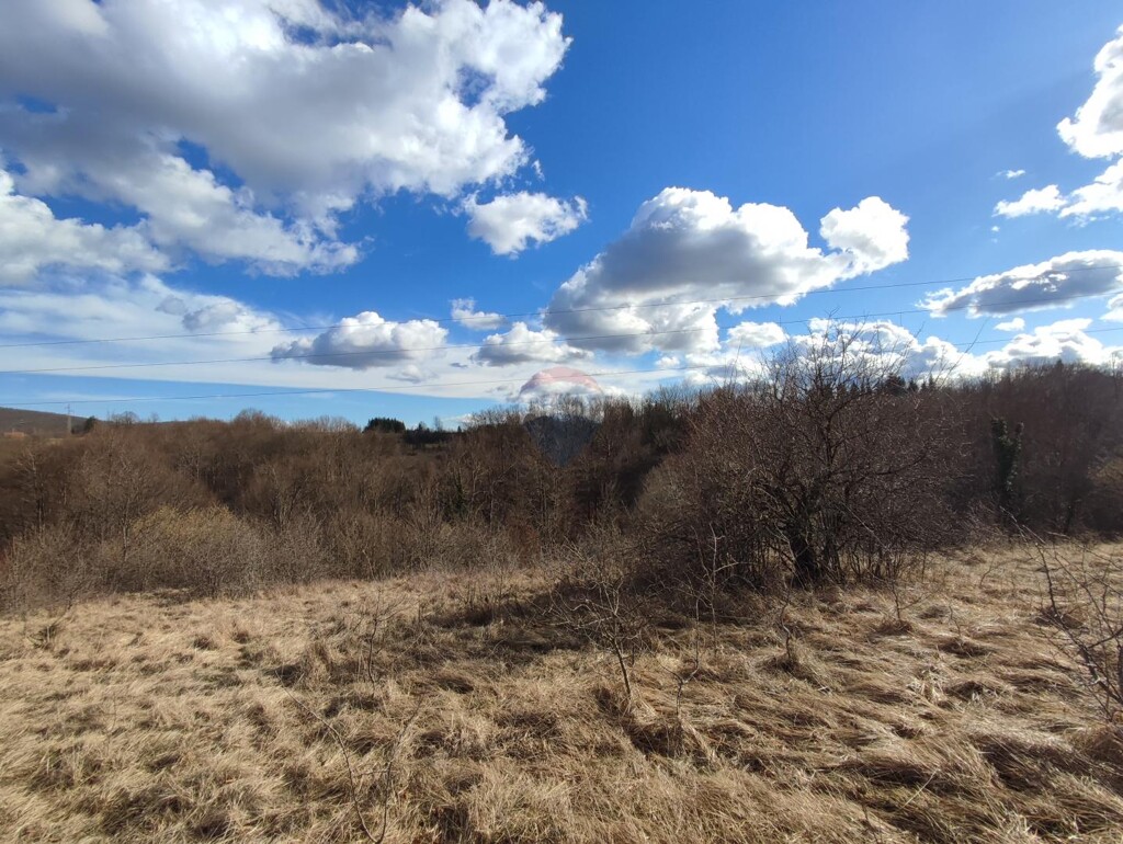 Image 6093605 - 3