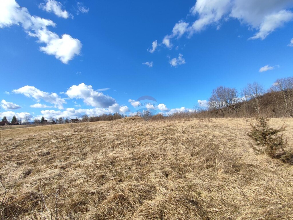 Image 6093605 - 4