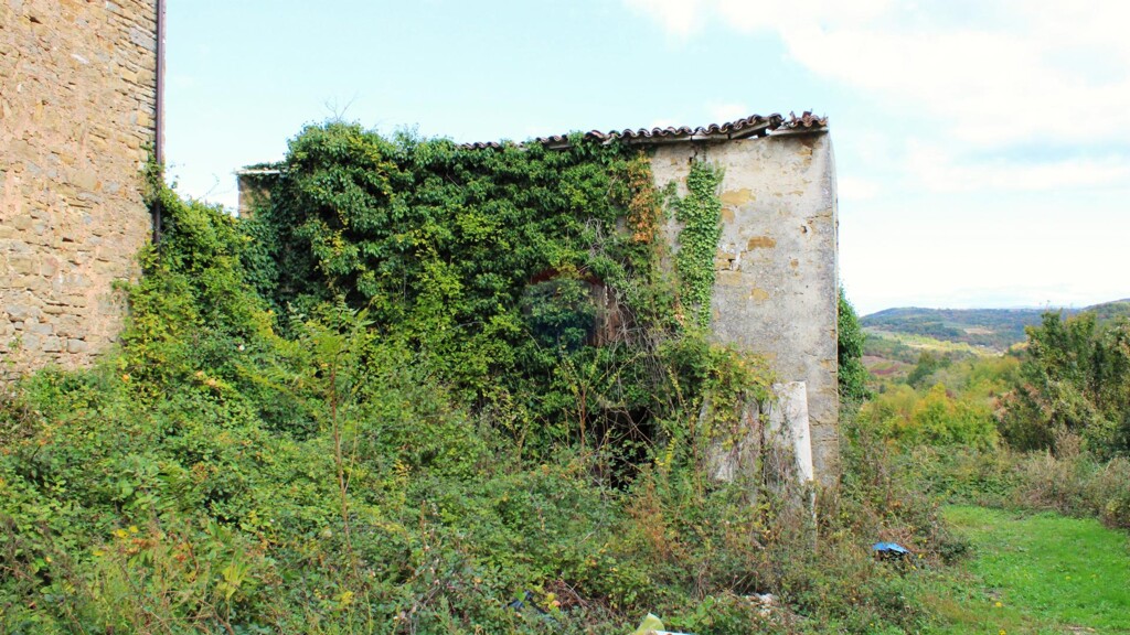Image 6094599 - 5