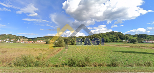 Thumbnail 6094803 - 1
