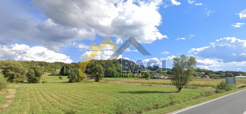 Thumbnail 6094803 - 2