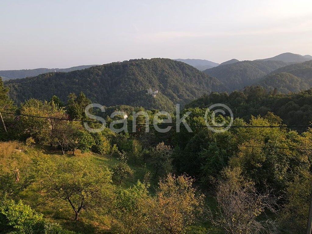 Image 6094858 - 2