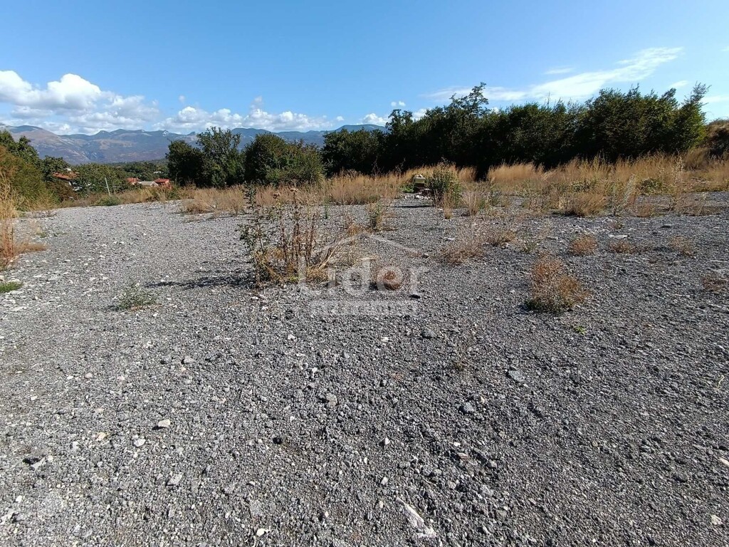 Image 6095522 - 1