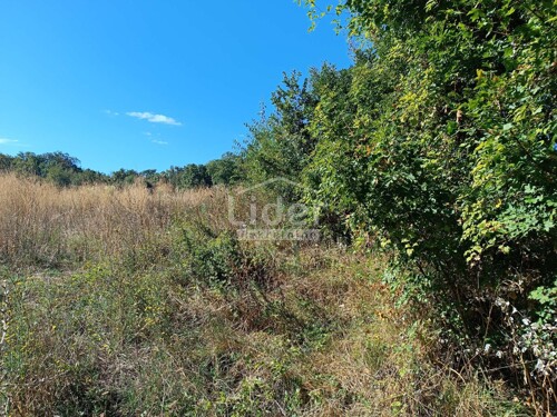 Thumbnail 6095522 - 2