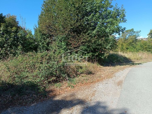 Thumbnail 6095522 - 5